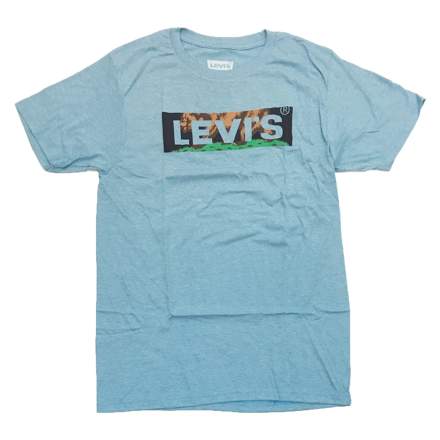 LEVI'S GRAPHIC TEE (Sky Blue) / $16.99 2 for $30